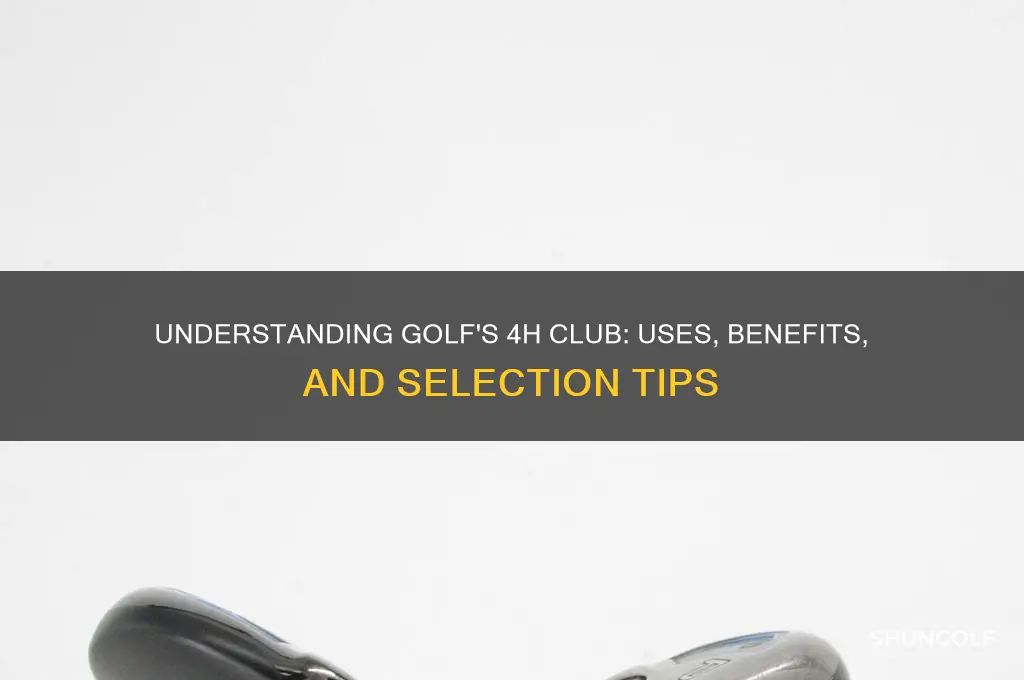 what is a 4h in golf