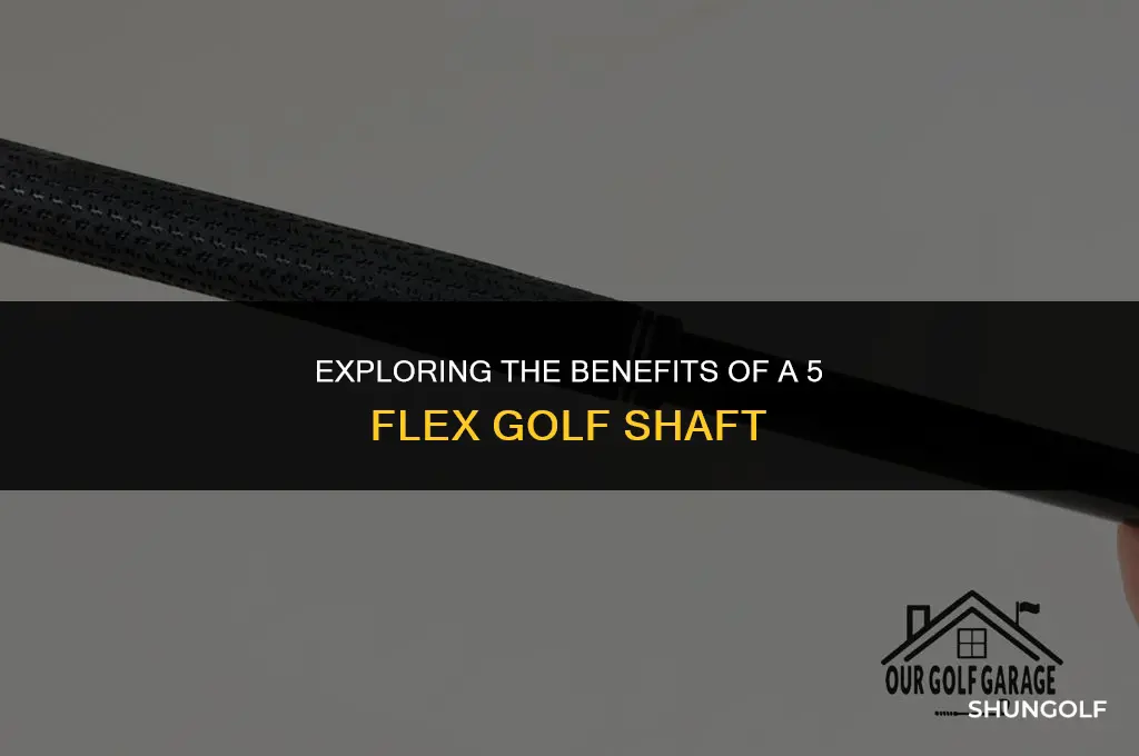 what is a 5 flex golf shaft