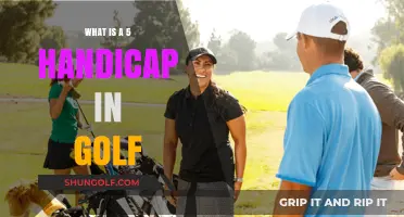 Understanding Golf's 5 Handicap: Skill Level and Course Expectations