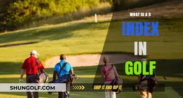 Understanding the 5 Index in Golf: A Beginner's Guide to Handicaps