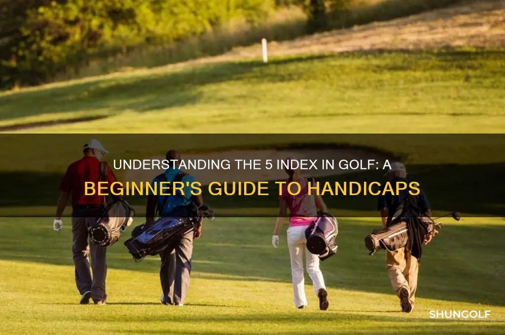 what is a 5 index in golf