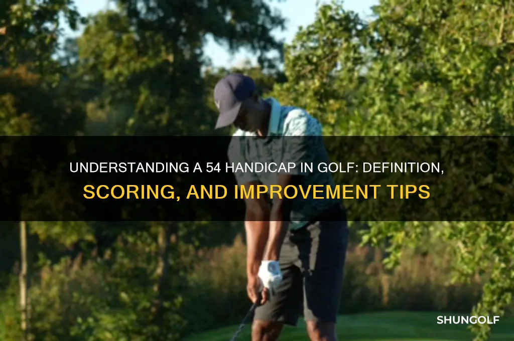 what is a 54 handicap in golf