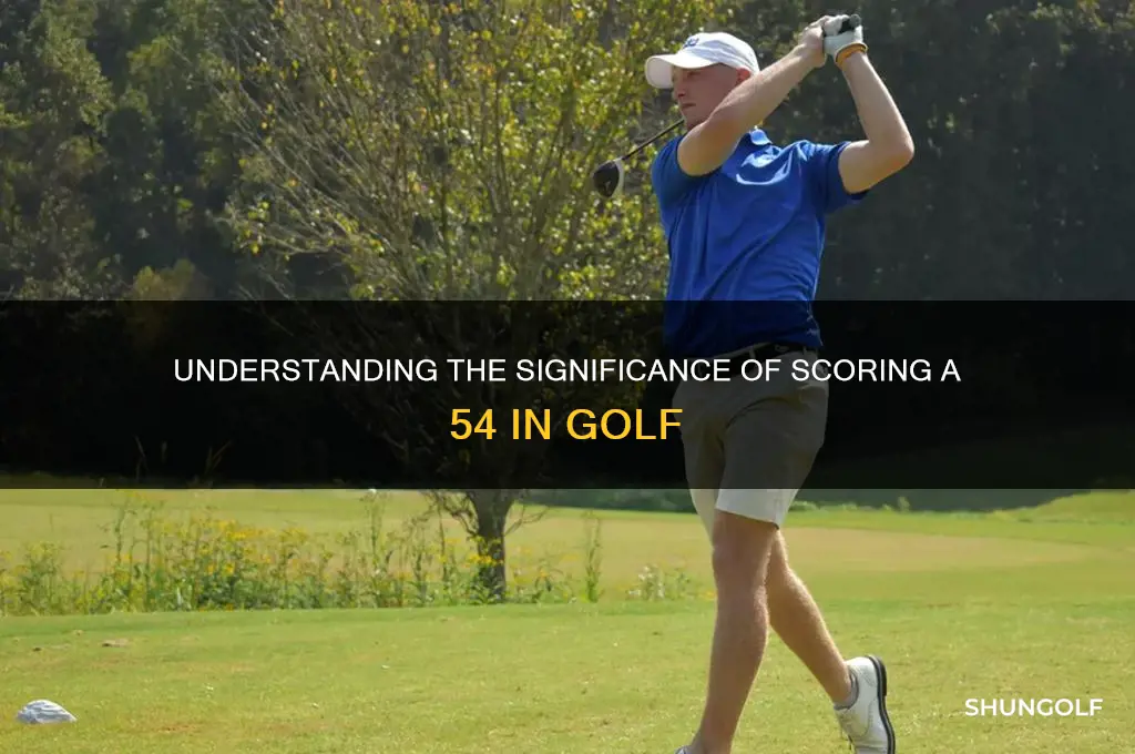 what is a 54 in golf