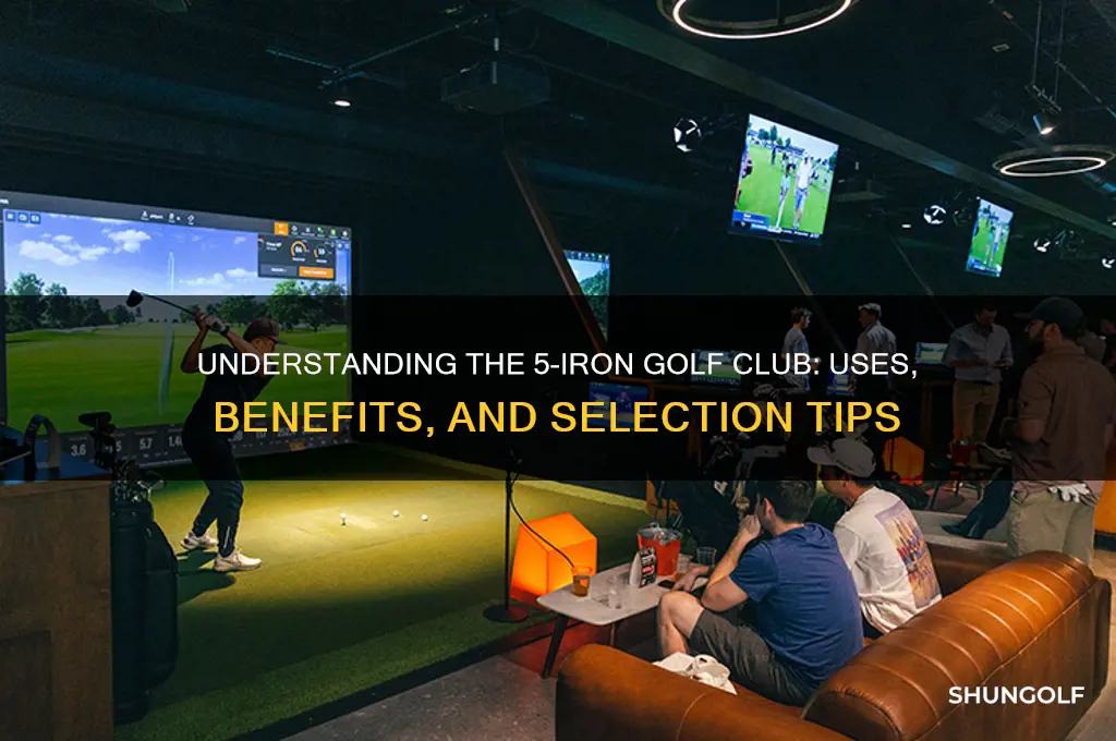 what is a 5i golf club