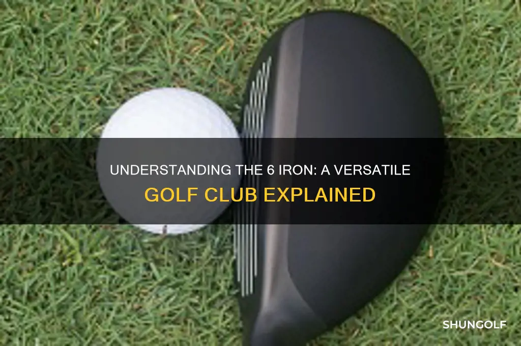 what is a 6 iron golf club