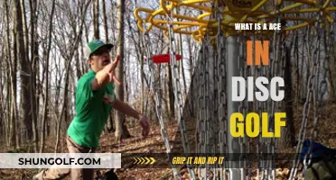 Mastering the Ace: A Beginner's Guide to Disc Golf Excellence