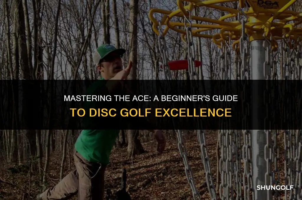 what is a ace in disc golf