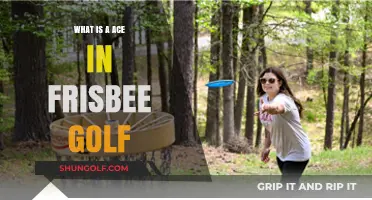 Mastering the Ace: Understanding Frisbee Golf's Perfect Throw