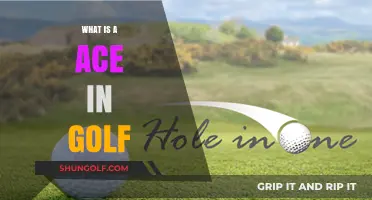 Golfing Aces: What's the Hole Story?