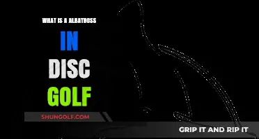 Mastering the Albatross: A Disc Golf Achievement Explained
