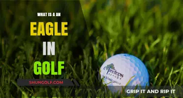 Understanding the Eagle: A Golf Scoring Term Explained Simply