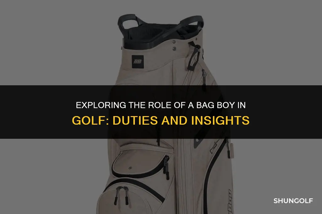 what is a bag boy golf