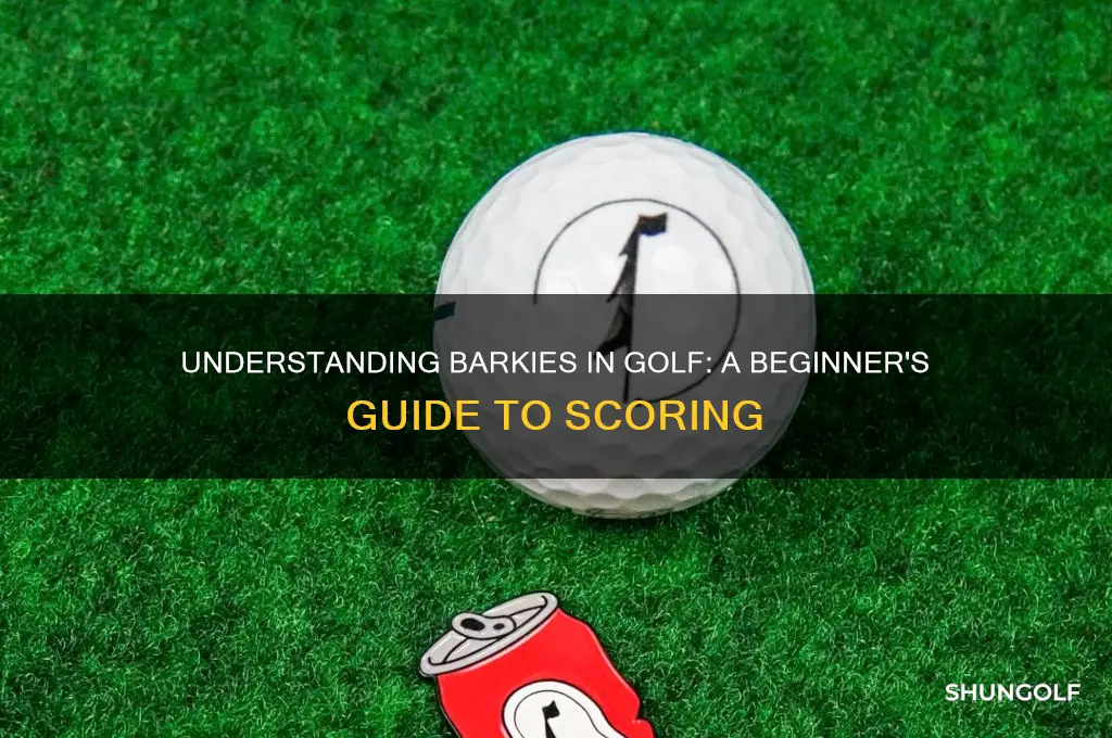 what is a barkie in golf