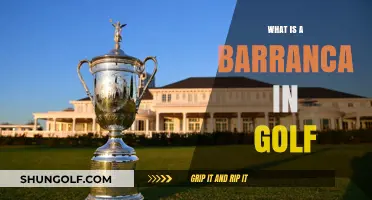 Understanding Golf's Barranca: Definition, Strategy, and Course Impact