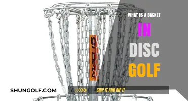 Exploring the Essential Equipment: What is a Basket in Disc Golf?