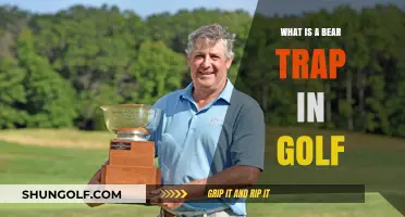 Understanding the Bear Trap: Golf's Infamous Course Challenge Explained
