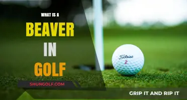 Understanding the Beaver in Golf: Definition, Rules, and Scoring Explained