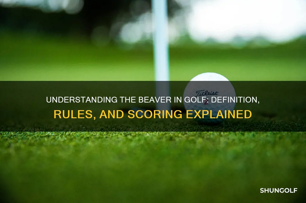 what is a beaver in golf