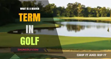 Understanding the Beaver Term: A Unique Golf Scoring Concept Explained