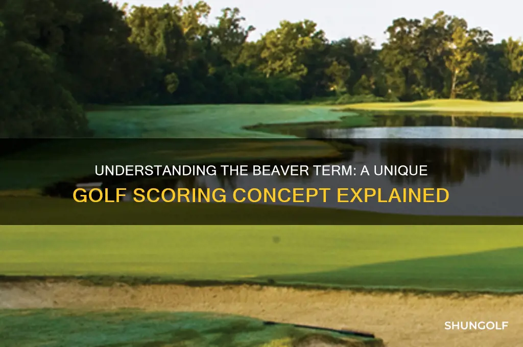 what is a beaver term in golf