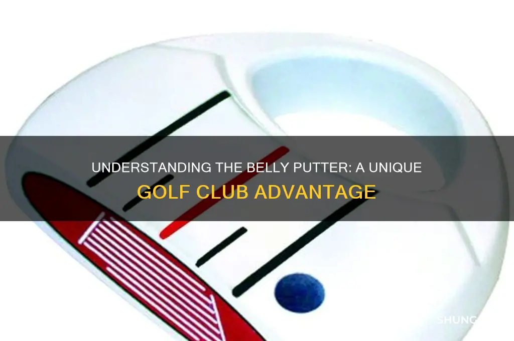 what is a belly putter in golf