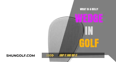 Understanding the Belly Wedge: A Golfer's Guide to This Unique Club