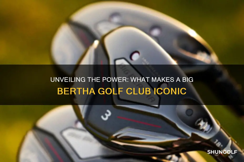 what is a big bertha golf club