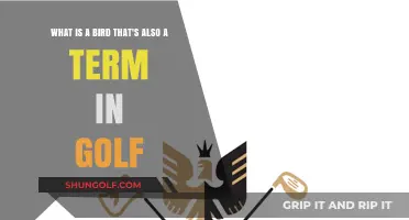 Eagles in the Sky and on the Green: Golf's Avian Term Explained