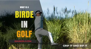 Understanding the Term 'Birde' in Golf: A Beginner's Guide