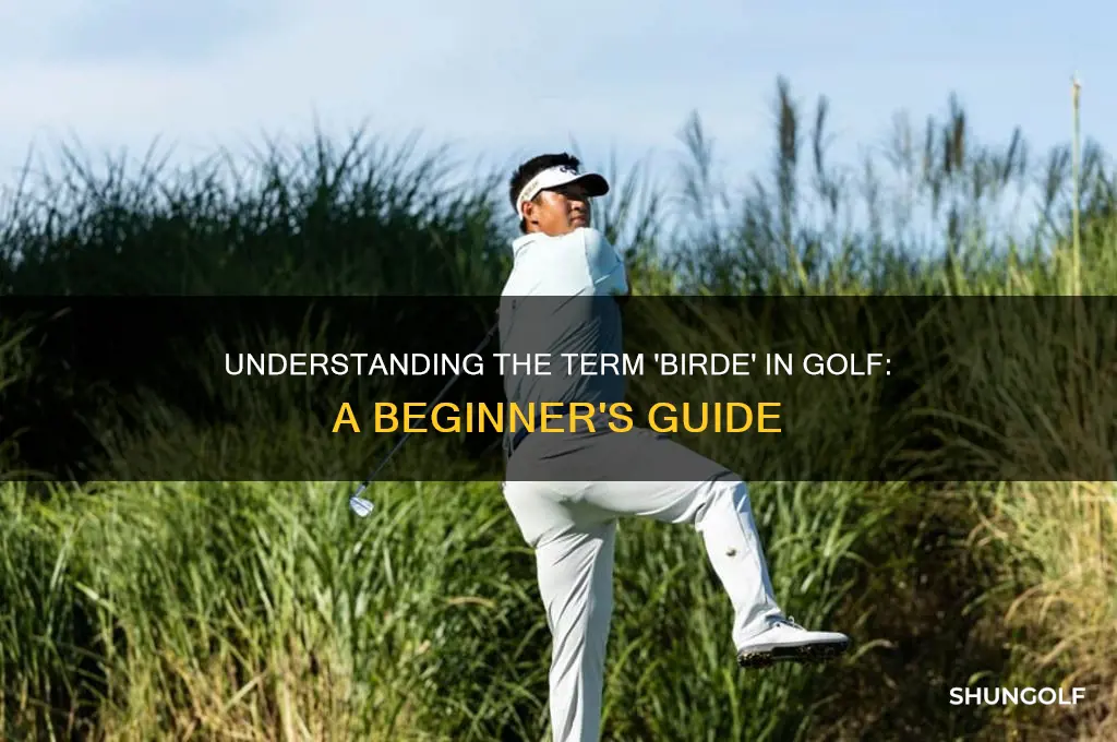 what is a birde in golf