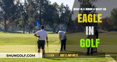 Understanding Golf Scores: Birdie, Bogey, Eagle Explained Simply