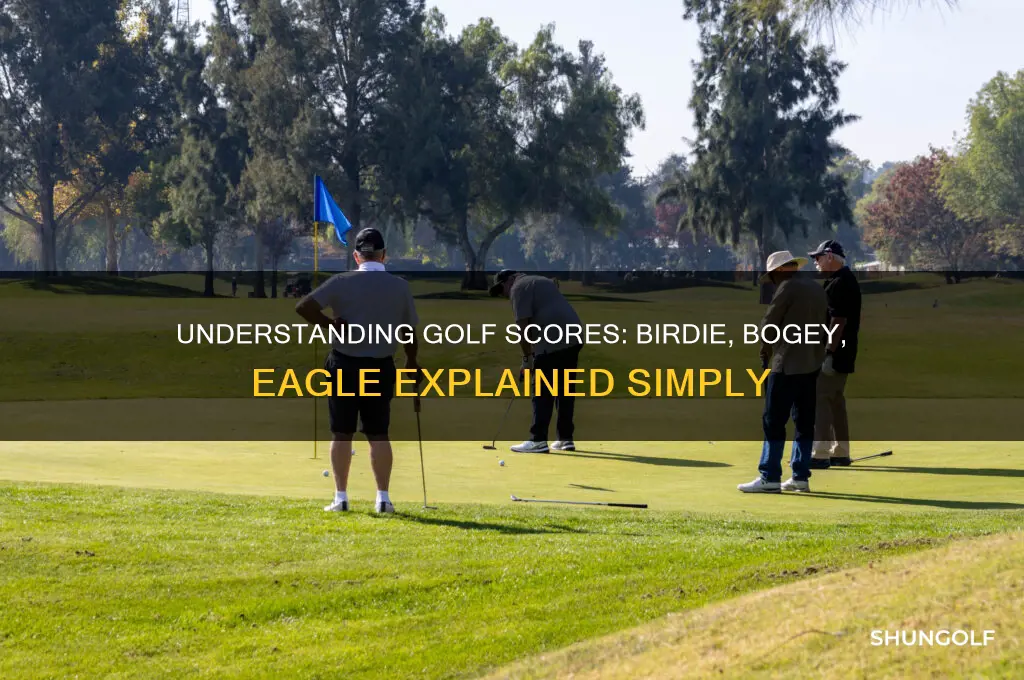 what is a birdie a bogey an eagle in golf