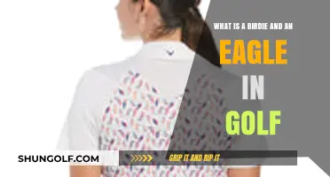 Understanding Golf Scores: Birdie and Eagle Explained Simply