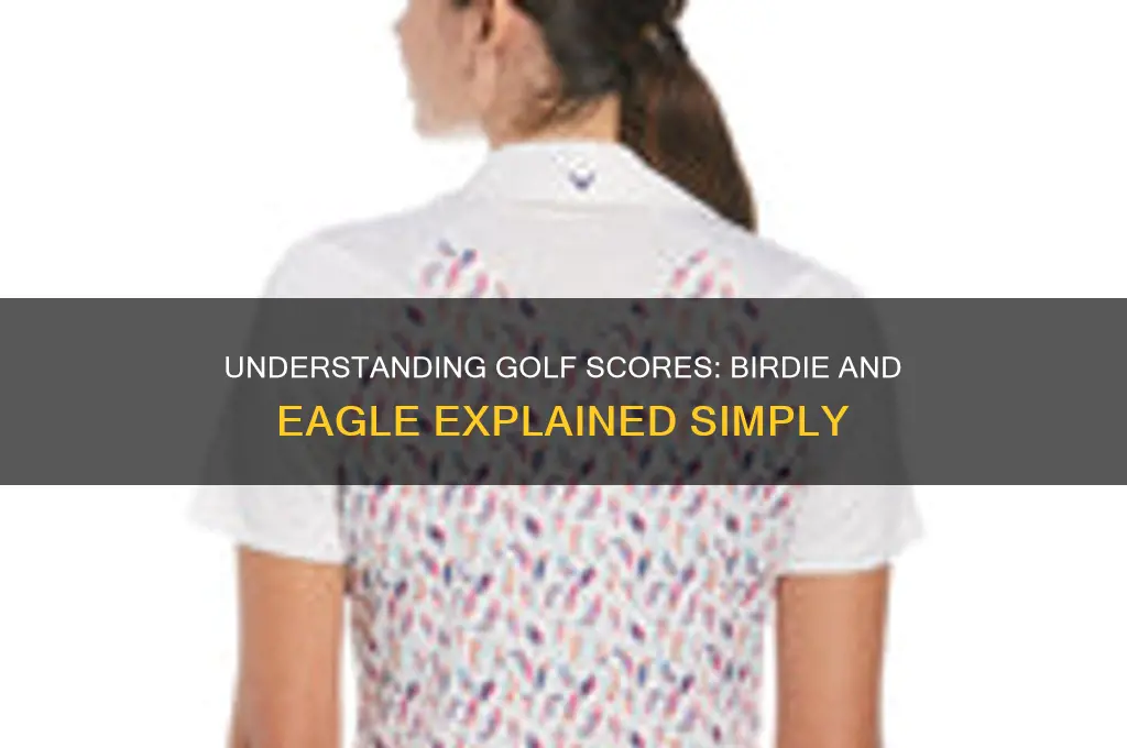 what is a birdie and an eagle in golf