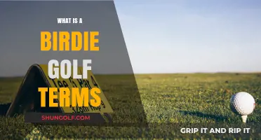 Understanding Birdie in Golf: A Beginner's Guide to Scoring Terms