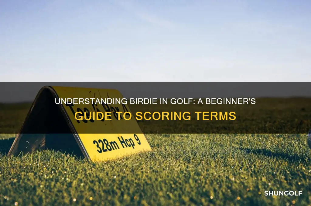 what is a birdie golf terms