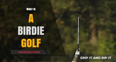 Golf Birdies: What Are They and How to Get Them?