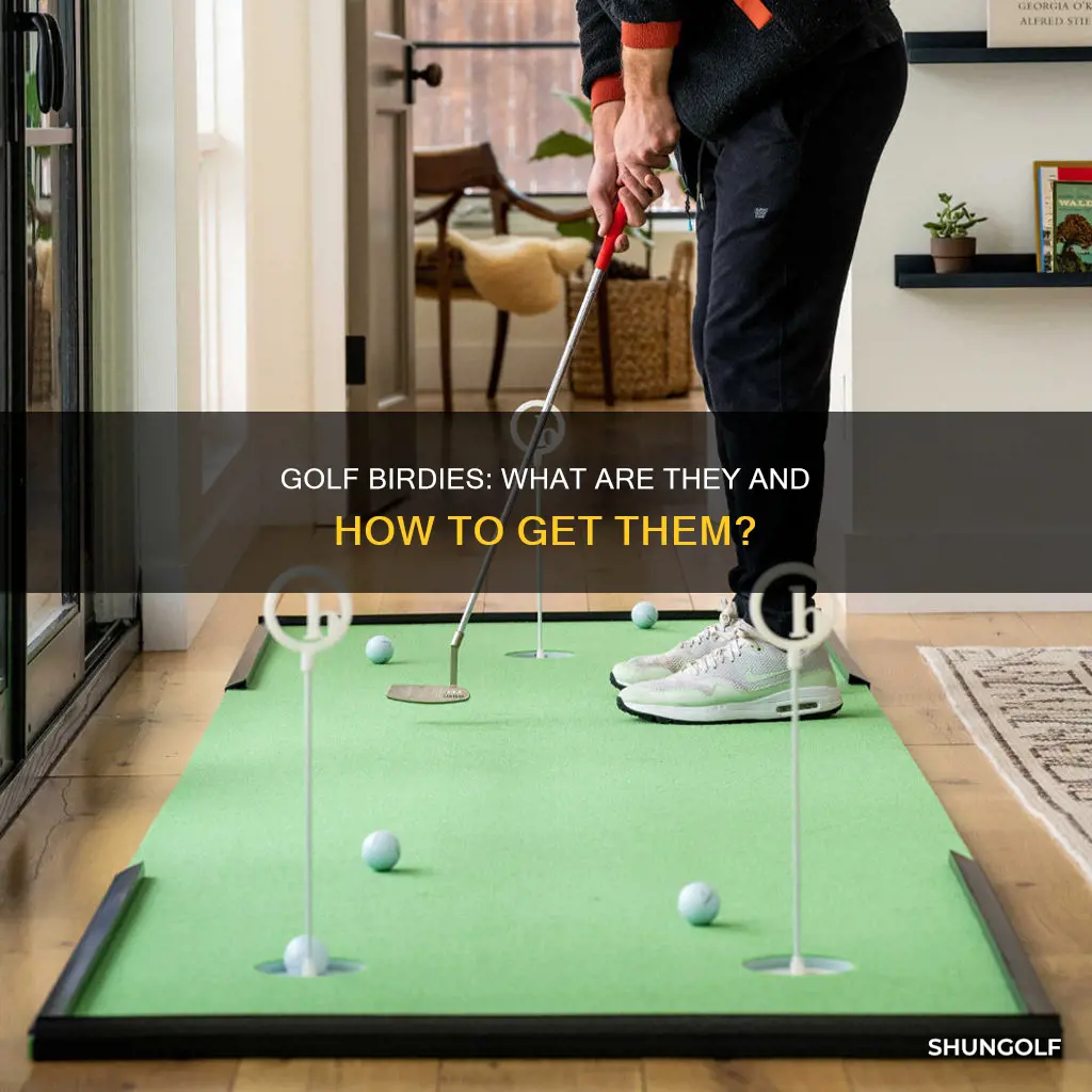 what is a birdie golf