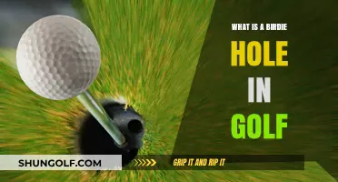 Understanding the Birdie Hole: A Golf Scoring Essential Explained