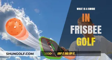 Understanding the Birdie: A Beginner's Guide to Frisbee Golf Scoring