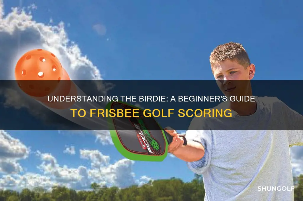 what is a birdie in frisbee golf