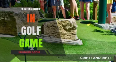Understanding the Birdie: A Key Scoring Term in Golf Explained