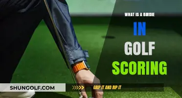 Understanding Birdies: A Beginner's Guide to Golf Scoring Terms