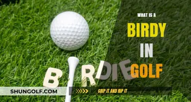 Golf Birdies: What Are They and How to Get Them?