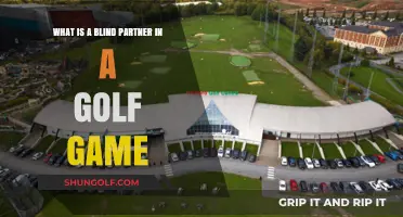 Understanding the Role of a Blind Partner in Golf Games