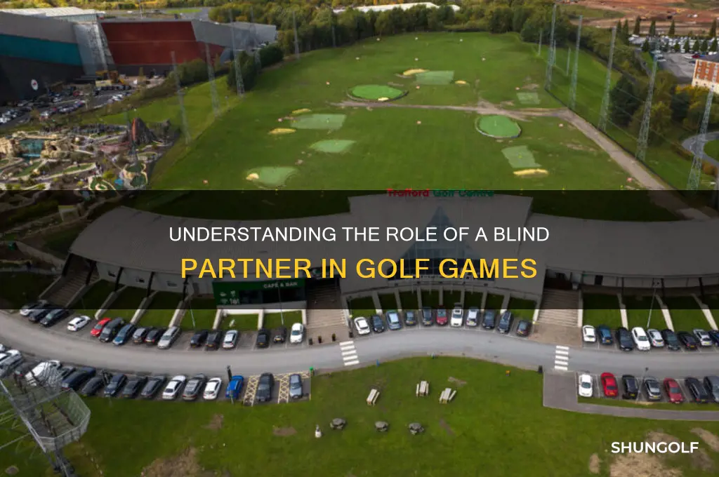 what is a blind partner in a golf game