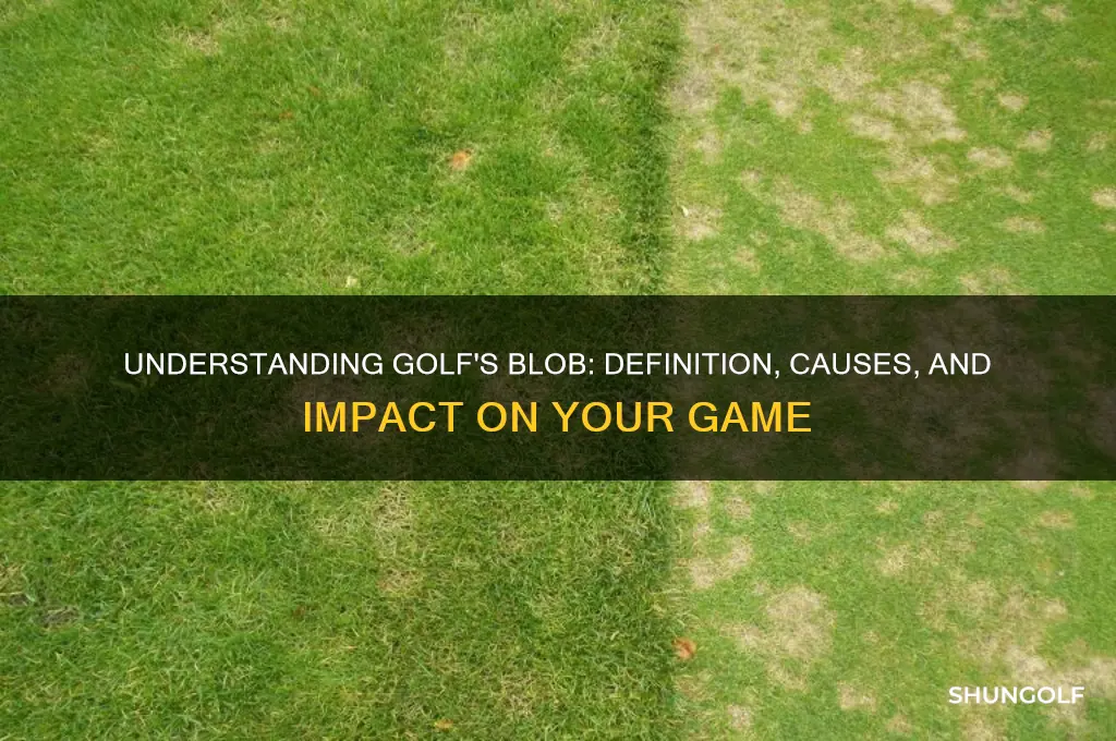 what is a blob in golf