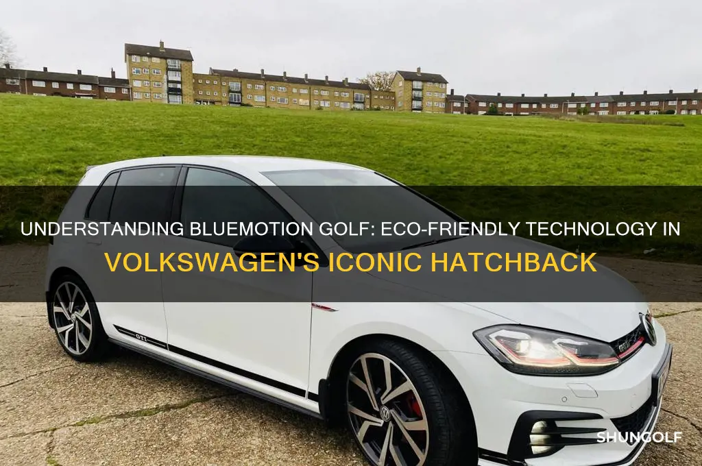 what is a bluemotion golf