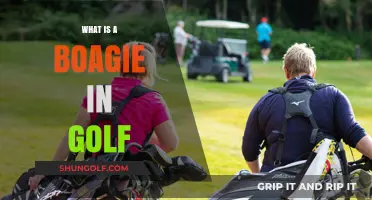 Understanding the Boagie: A Unique Golf Scoring Term Explained
