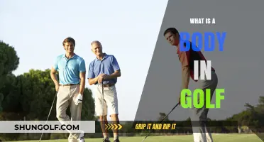 Understanding the Body in Golf: Mechanics, Movement, and Mastery